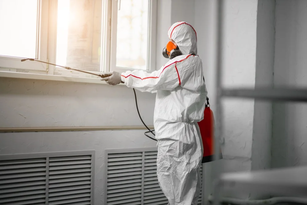 Professional mold remediation services in Bedford, MA